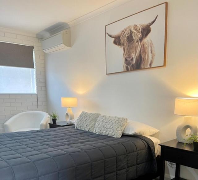 Estelle Kramer Motel Armidale Exteriér fotografie